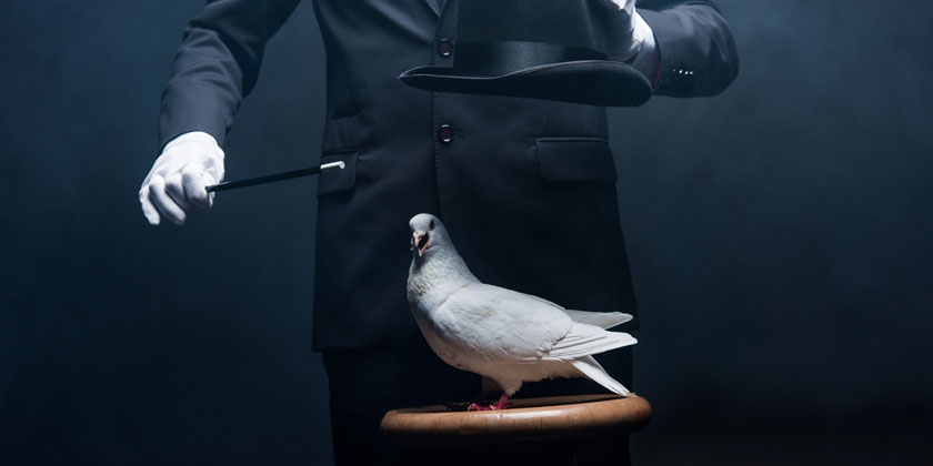 マジックショーでハトが使われる4つの理由 ギンバト チャニング ポロック マジシャン 白いハト 鳥害タイムズ エドバンコーポレーション